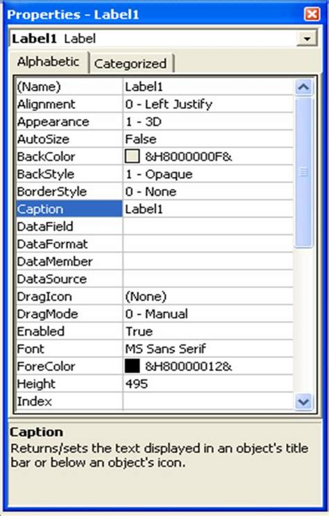 Label Control Properties Of Visual Basic 60