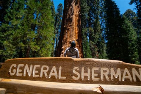 Top 9 Sequoia National Park Attractions
