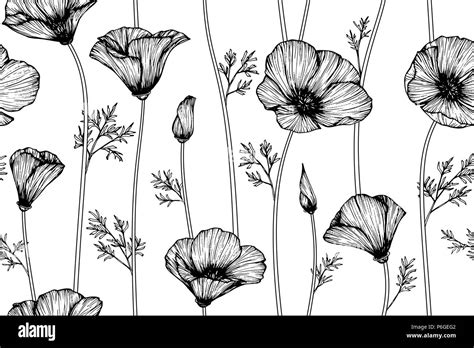 Seamless California Poppy Flower Pattern Background Black And White