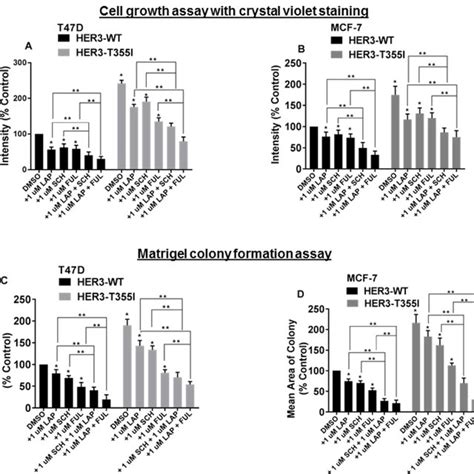 Knocking Down Her3 Inhibits Cell Proliferation In Various Cancers Download Scientific Diagram