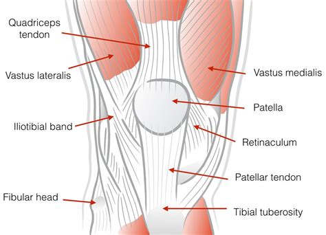 Anterior Knee Pain Patellofemoral Pain Vs Patellar Tendinopathy