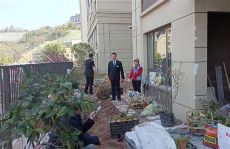 北碚区蔡家街道龙湖椿山业主违规占用小区公共绿地改建私家花园 重庆网络问政平台