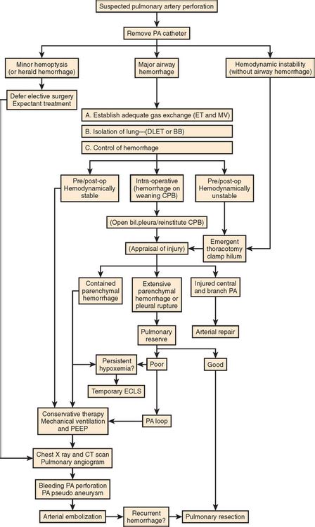 Esophageal Surgery Basicmedical Key