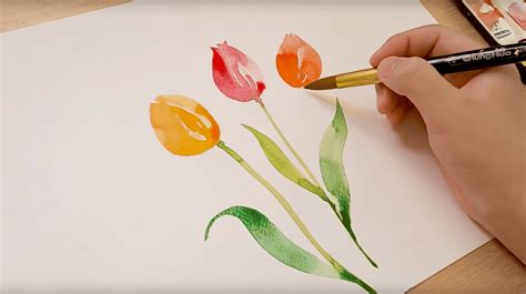 Aquarell Tulpen Malen 6 Schritte Anleitungen