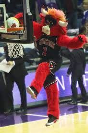 Benny the Bull | Basketball Wiki | Fandom