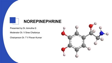 Norepinephrine Ppt Pptx