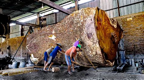 Penuhi Syarat Dan Keinginan Konsumen Kayu Trembesi Harga 2 Milyar