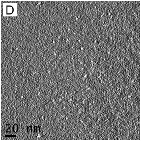 Visibility Of Ultrasmall Gold Clusters In 3D By STEM Tomography A B