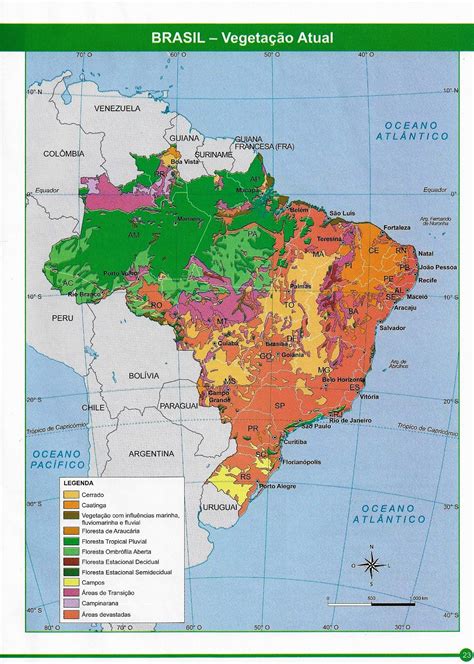 Mapa Da Vegetação No Brasil