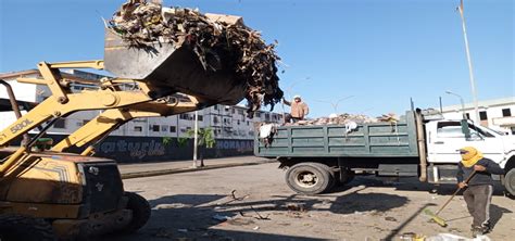 Alcald A De Matur N Recolecta Diariamente M S De Toneladas De Basura