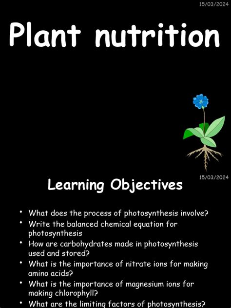 Photosynthesis | Download Free PDF | Photosynthesis | Leaf 