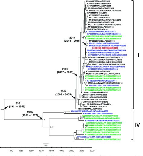 The Maximum Clade Credibility Mcc Phylogenetic Tree Of Denv