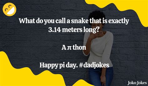 40+ Fall Dad Jokes And Funny Puns - JokoJokes