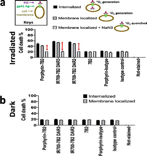 A Schematic Picture Depicts Three Models Of PIC Localization On The