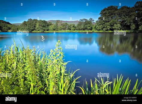 Royal George Mill Pond Greenfield Saddleworth Lancashire England