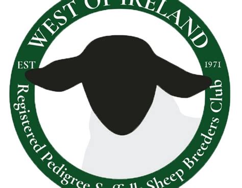 1971-2021 CELEBRATING 50 YEARS OF SUFFOLK BREEDING IN THE WEST OF IRELAND - Irish Suffolk Sheep