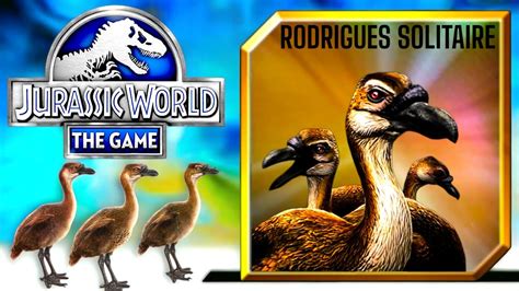 NEW DATAMINE NEW FLOCK RODRIGUES SOLITAIRE COMING SOON TO JURASSIC