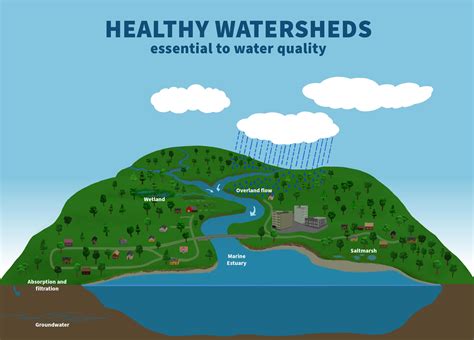 Water Quality | EcoVision2025