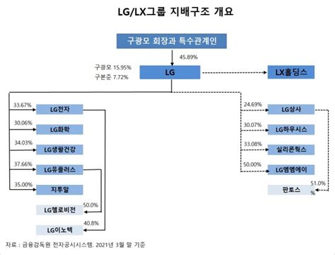 그룹 지배구조 분석 ④ Lg그룹 구광모 회장은 故 구본무 회장 주식 78 상속 받으며 지배력 강화lx홀딩스 분할은