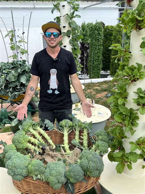 Vertical Farming Broccoli Grow Broccoli On A Tower Garden