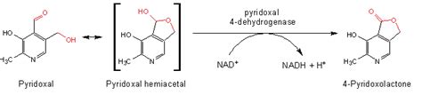 Eawag Bbd Reaction Reacid R1517