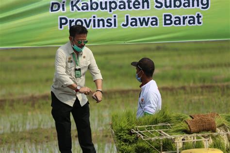 PDB Triwulan II 2020 Sektor Pertanian Tumbuh Paling Tinggi Pilar