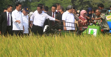 Empat Tahun Jokowi JK Pertanian Miliki Peran Sentral Dongkrak