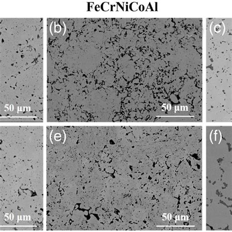 Bse Sem Micrographs Of The Cross Section Of Fecrnico Fecrnicoal