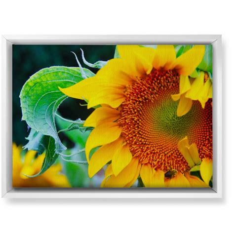 Yellow Abstract Canvas | Shutterfly