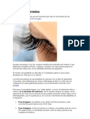 Temario Curso Extensiones de Pestañas PDF Business Lashes Pdf