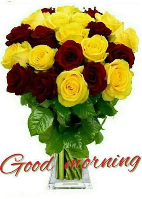 Pin By Narendra Pal Singh On Good Morning Good Morning Flowers Good