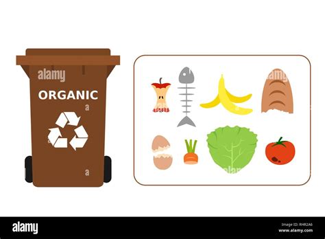 Brown Poubelle Avec Des Déchets Organiques Aux Fins De Recyclage Le