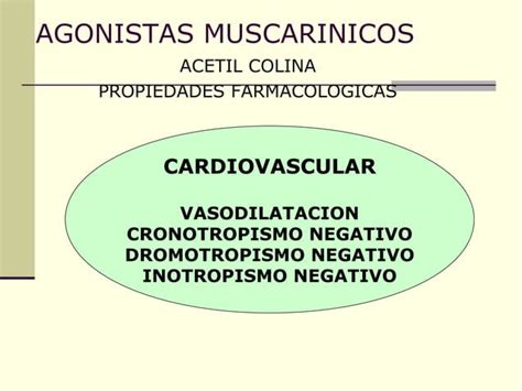 Receptores Muscarinicos Antagonistas Y Agonistas PPT