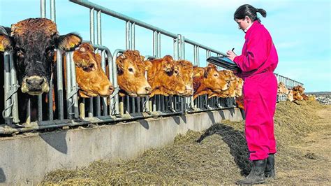 La Mujer Se Abre Paso En El Campo