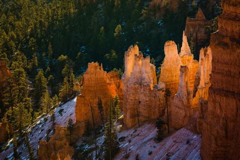 Glowing Hoodoos in Bryce Canyon National Park (OC)[5760x3840] : EarthPorn