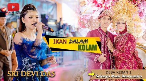 Sri Devi Da Ll Ikan Dalam Kolam Ll Desa Keban Musi Banyuasin Ll Mz