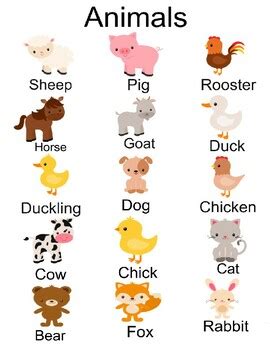 Animal Poster! Learn your Animals, Toddlers, Autism, wall art classroom ...