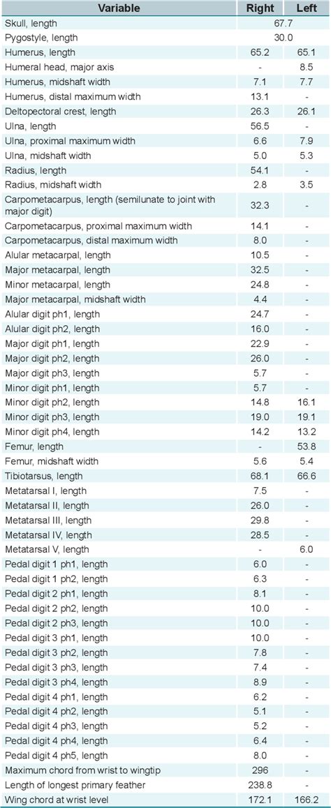 Table From Flight Performance Of The Early Cretaceous Bird