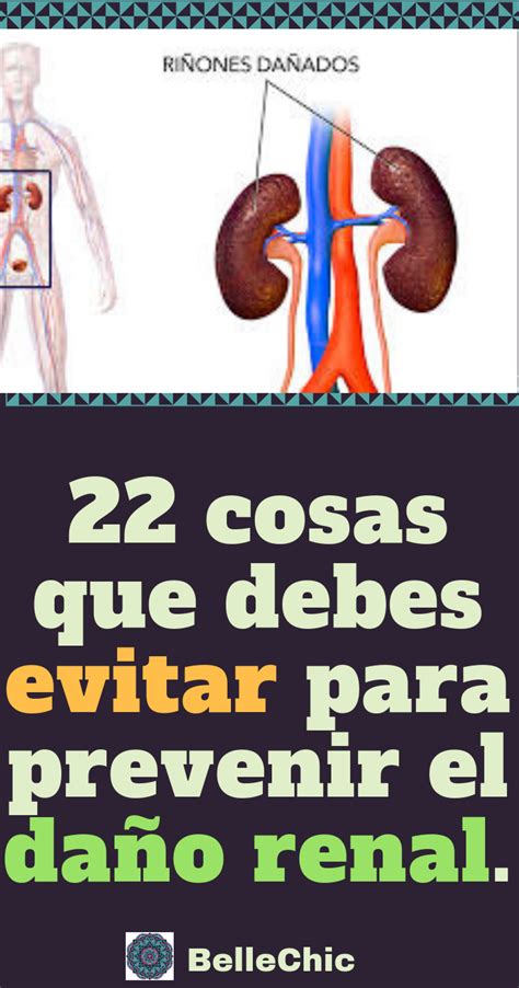 22 cosas que debes evitar para prevenir el daño renal Enfermedades