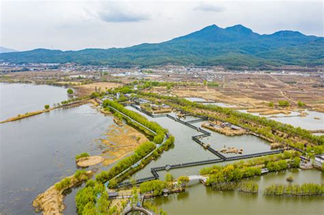 航拍云南丽江拉市海湿地公园湖泊池塘自然风景摄影汇图网