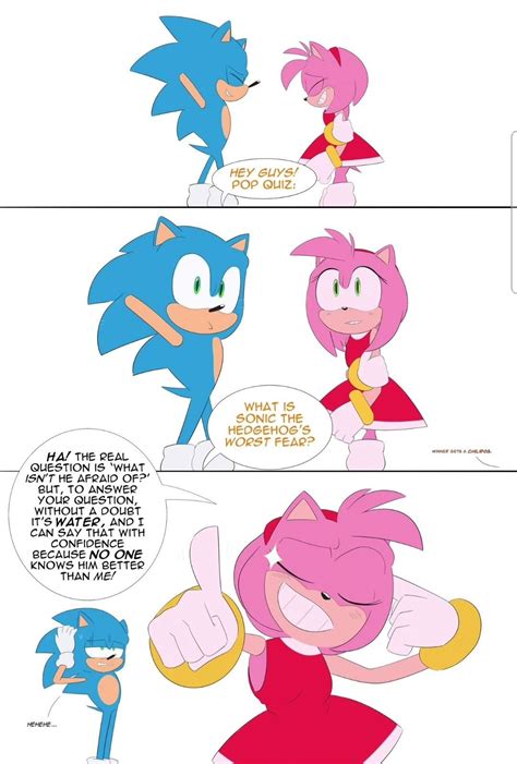 Pin By Ifwmyself On Sanic In 2024 Sonic Fan Art Sonic Art Sonic And Amy