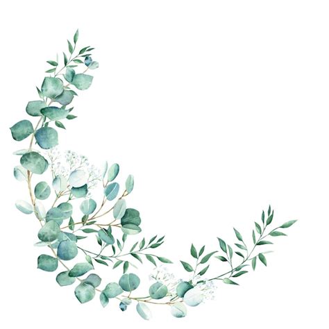 Aquarell grüner kranz eukalyptus gypsophila und pistazienzweige