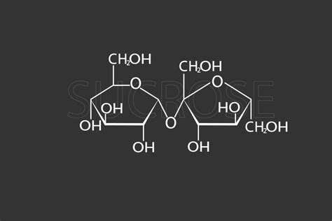 Sucrose Molecular Skeletal Chemical Formula Vector Art At Vecteezy