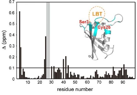 Chemical Shift Differences In The Backbone Amide Groups Of DR Between