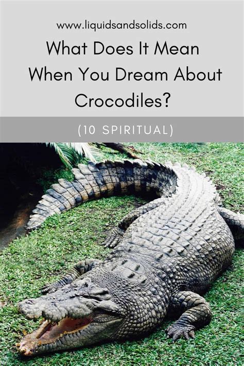 What Does It Mean When You Dream About Crocodiles 10 Spiritual Meanings