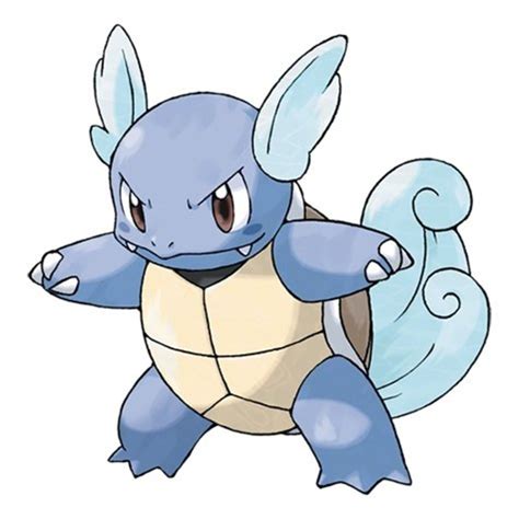 Pokémon: Blastoise Nicknames | HubPages