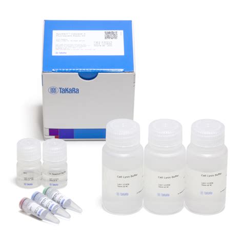 Apoalert Caspase 3 Fluorescent Assay Kit 100 Assays