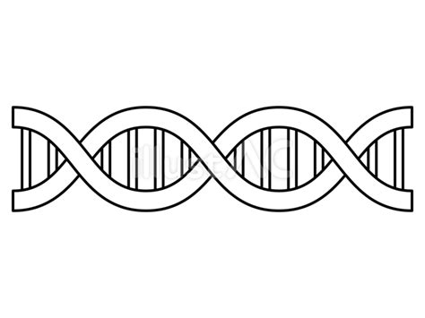 Dna Strand Drawing