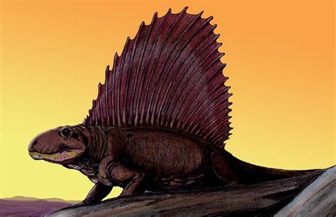 Dimetrodon Star Crossed Comic Wiki Fandom