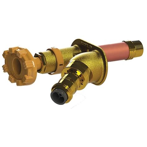 Woodford Model 30 16 In L X 1 2 In Pex Brass Anti Siphon Frost Resistant Multi Turn Sillcock At